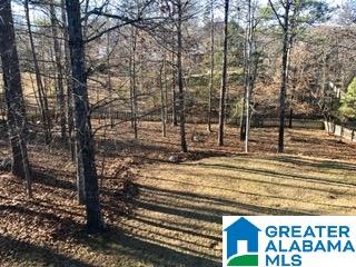189 Grande View Lane Alabaster, AL 35114 - Photo 32 of 34