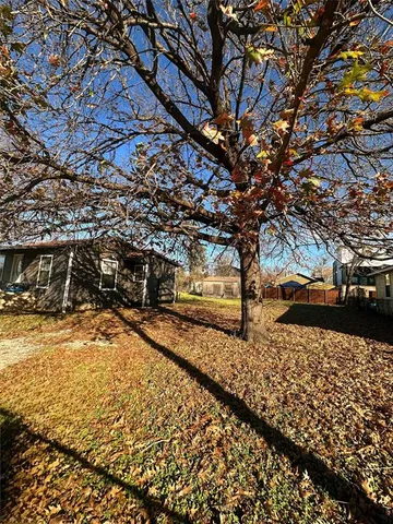 a street view with large trees