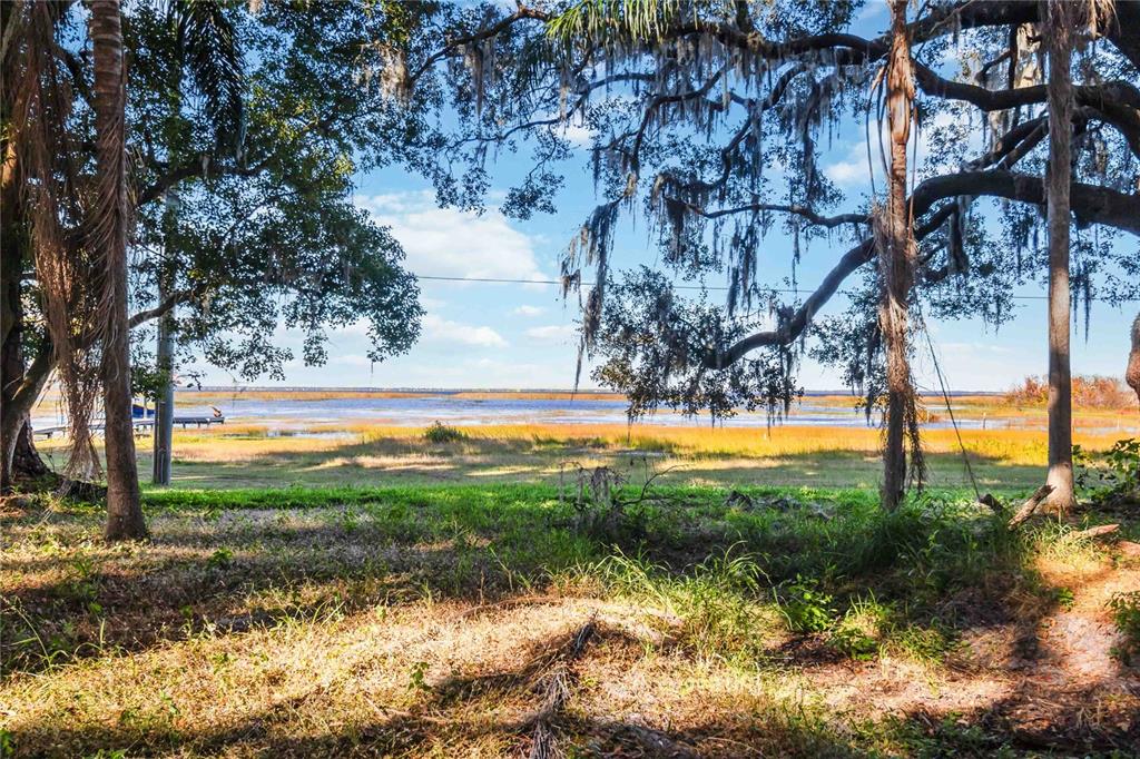 a view of swimming pool from a yard