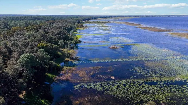a view of a yard with an outdoor space