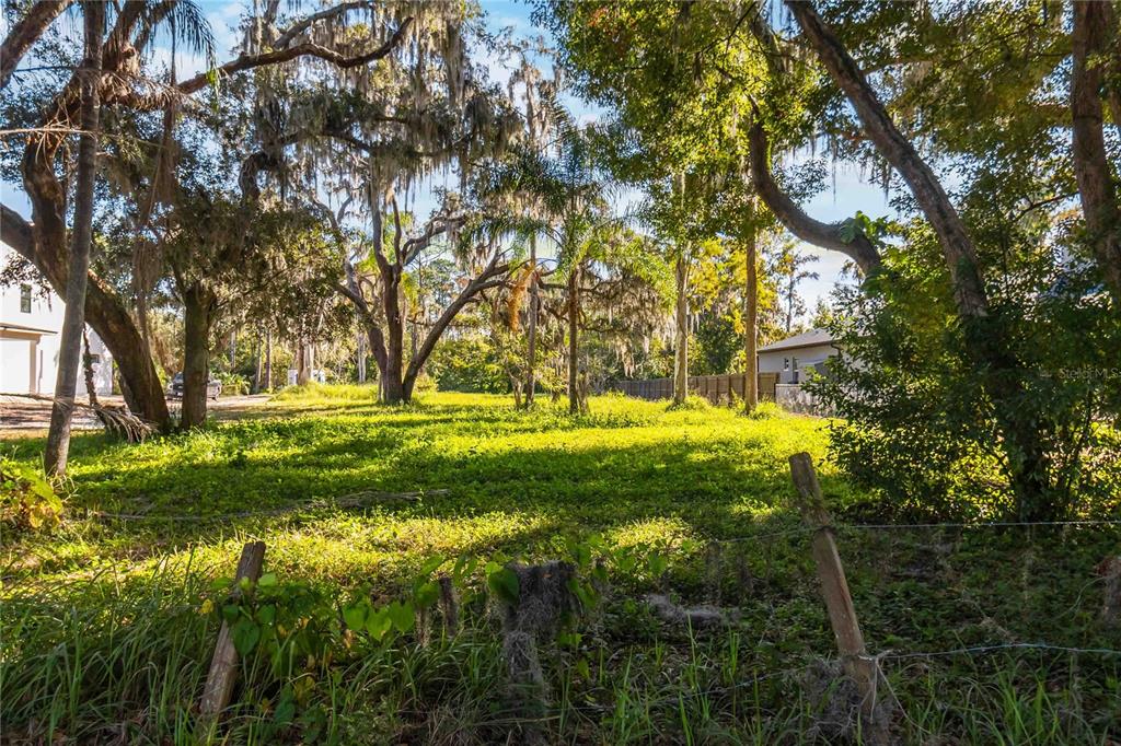 0 Lillian Black Road St. Cloud, FL 34771 - Photo 7 of 15 a view of a yard with a tree