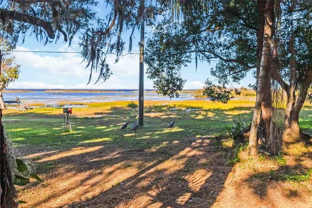 a view of a yard with a tree