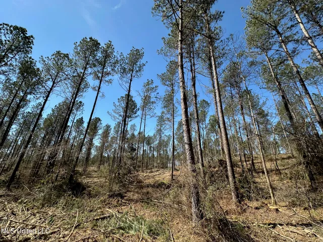 $79,000 | 3 Highway 478 New Hebron Ms 39140, Newhebron, MS 39140