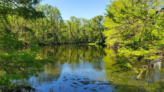 a view of a backyard with a swimming pool and furniture