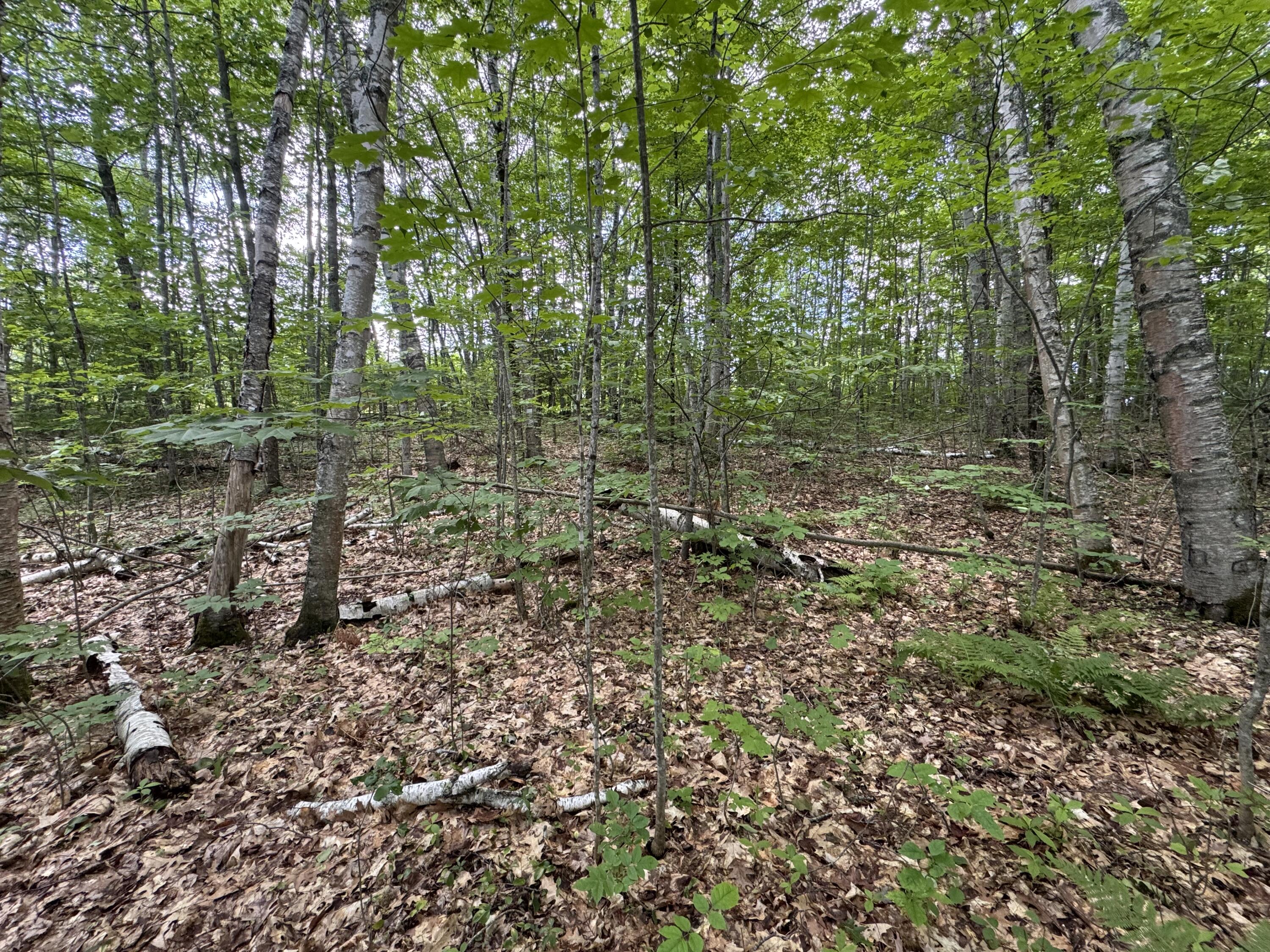 154 Highway 2 Kingman, ME 04451 - Photo 5 of 25 IMG_0121