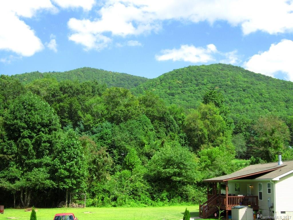 169 Beaverdam Loop Road Candler, NC 28715 - Photo 22 of 23 Gallery Image 22