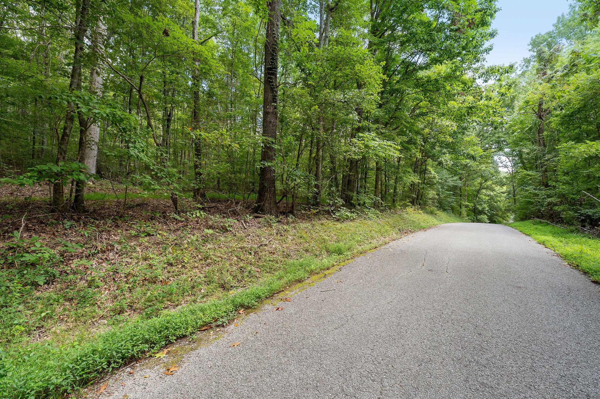 2047 Laurelburg Road Rock Island, TN 38581 - Photo 15 of 32 a view of a field with trees in the background
