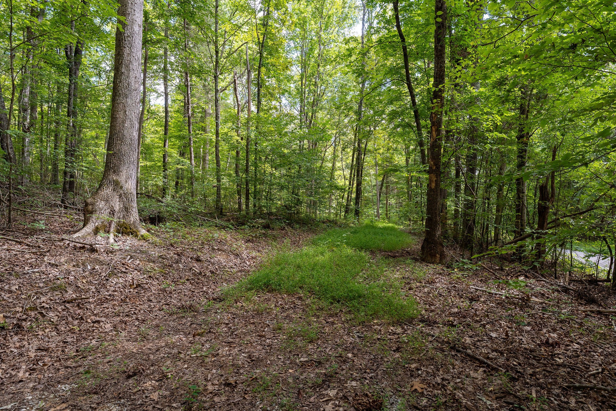 2047 Laurelburg Road Rock Island, TN 38581 - Photo 17 of 32 a view of outdoor space and green space