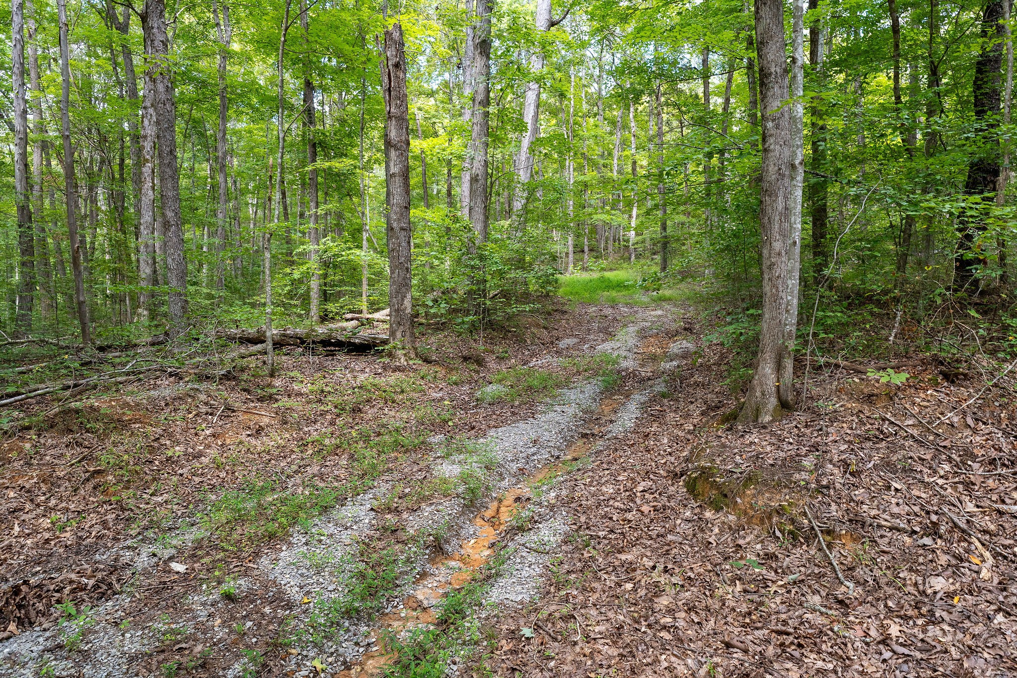 2047 Laurelburg Road Rock Island, TN 38581 - Photo 18 of 32 a view of outdoor space and green space