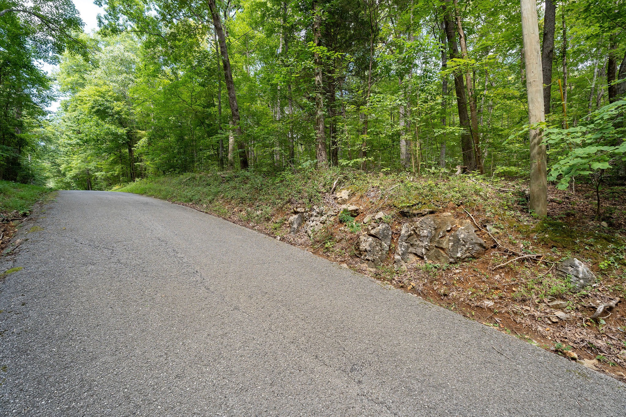 2047 Laurelburg Road Rock Island, TN 38581 - Photo 20 of 32 a view of a forest with trees