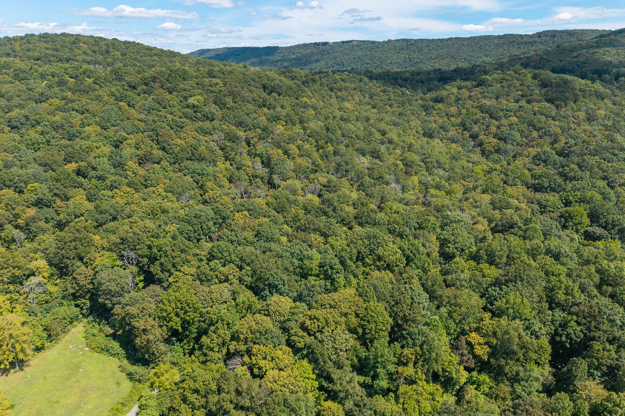 2047 Laurelburg Road Rock Island, TN 38581 - Photo 2 of 32 a view of a green field with lots of bushes
