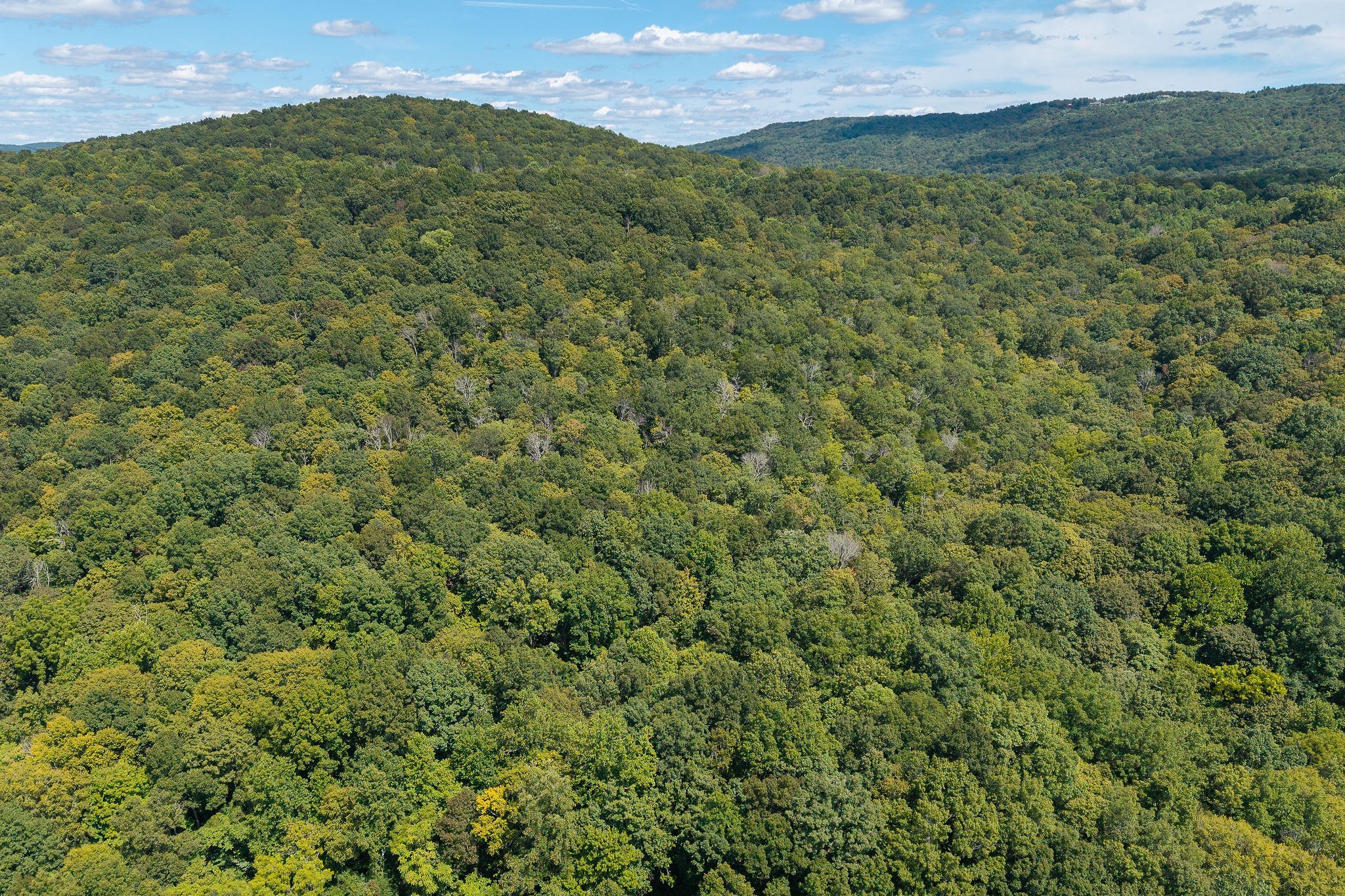 2047 Laurelburg Road Rock Island, TN 38581 - Photo 4 of 32 a view of a big yard with lots of green space and mountain view