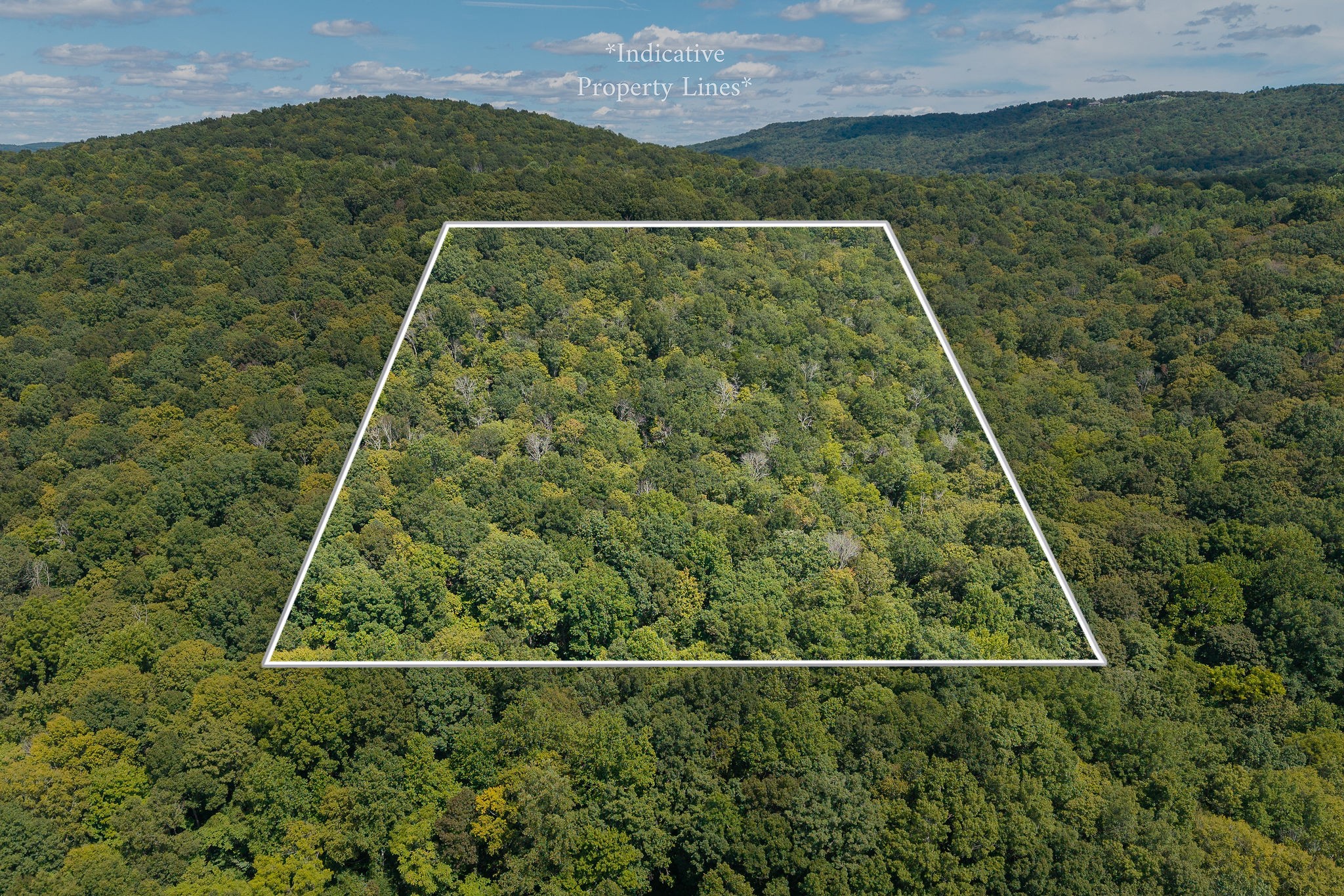 2047 Laurelburg Road Rock Island, TN 38581 - Photo 5 of 32 a view of a small yard