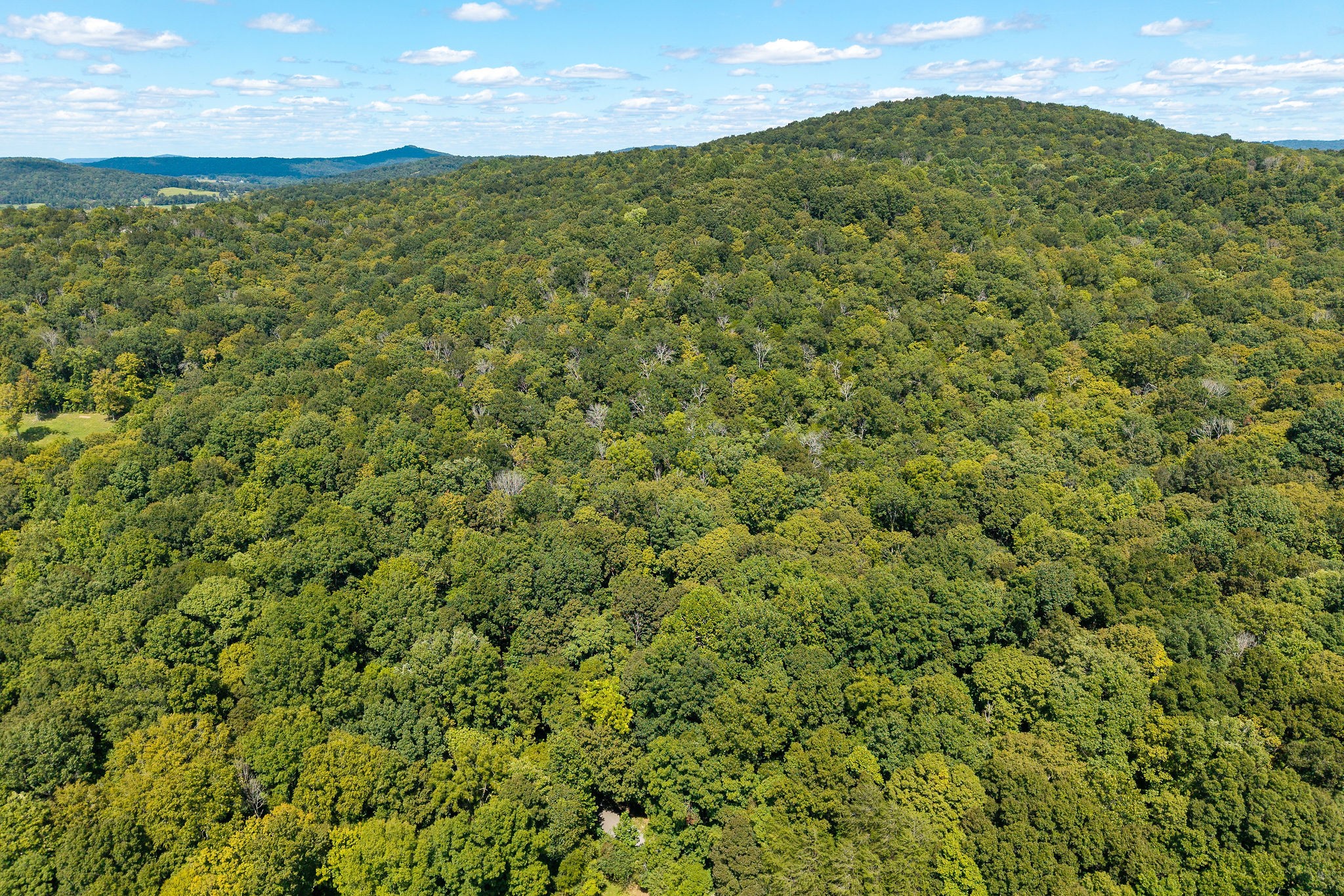 2047 Laurelburg Road Rock Island, TN 38581 - Photo 6 of 32