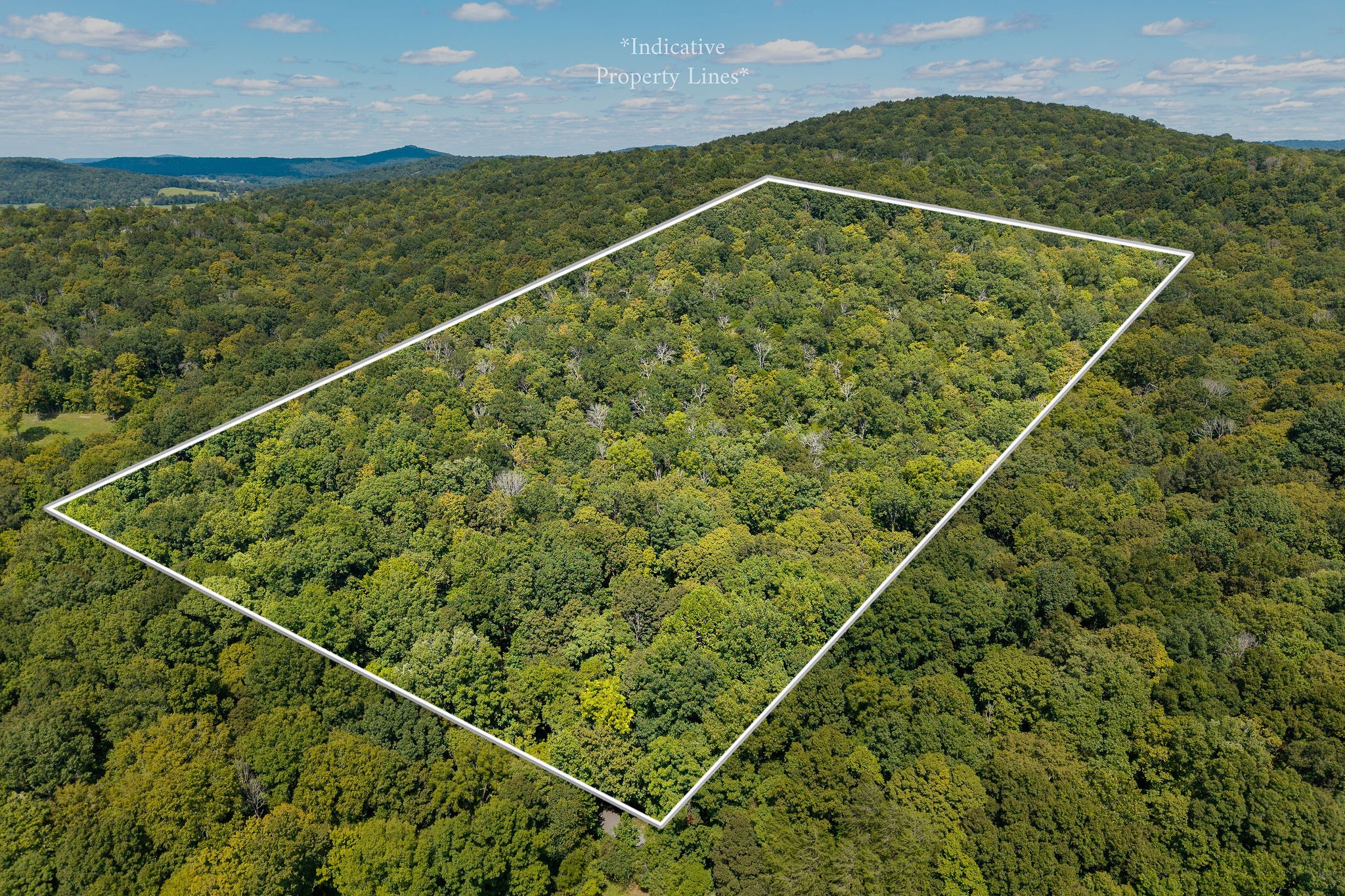 2047 Laurelburg Road Rock Island, TN 38581 - Photo 7 of 32 a view of a tennis court