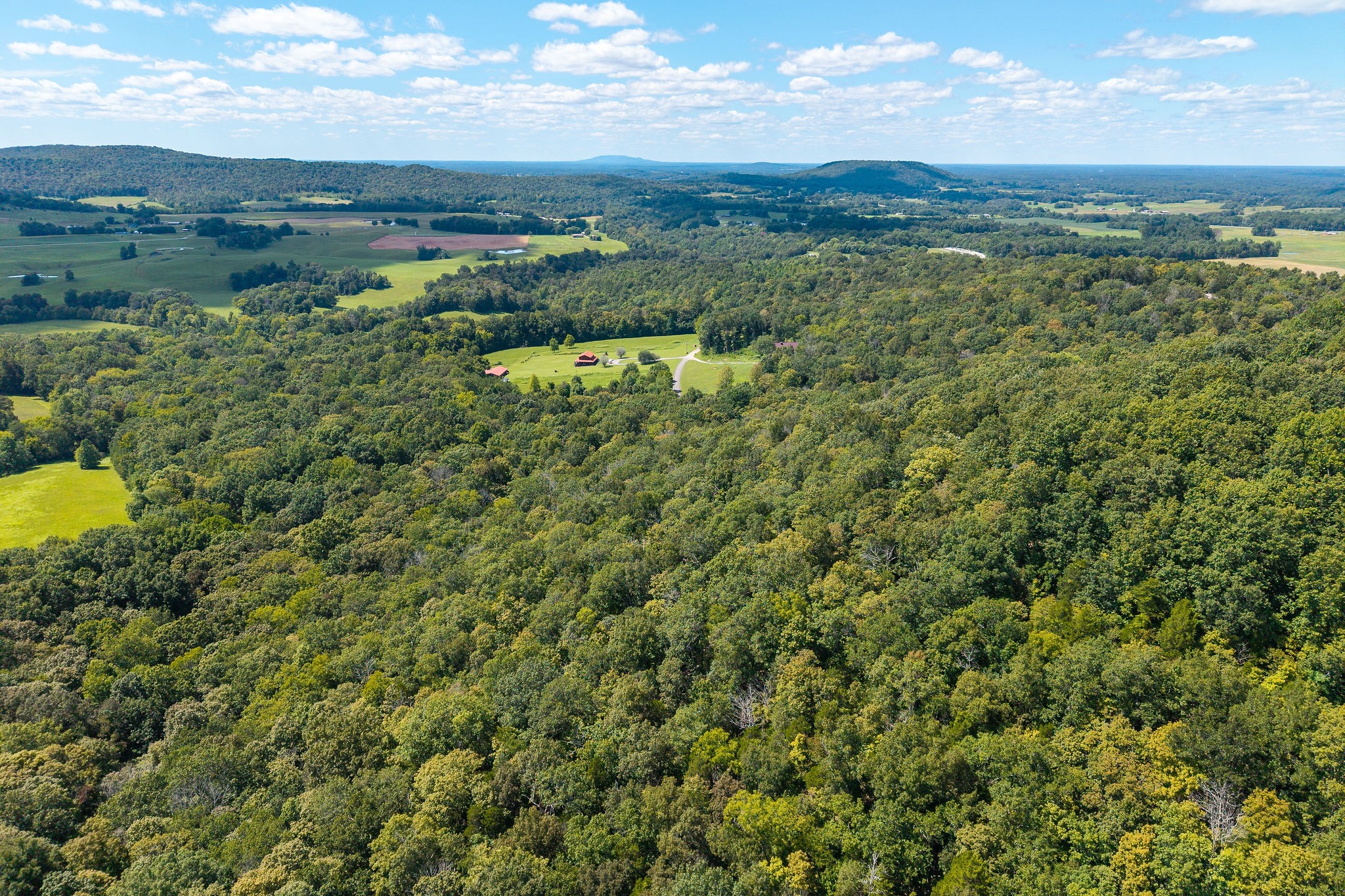 2047 Laurelburg Road Rock Island, TN 38581 - Photo 8 of 32 a view of a city with lush green forest