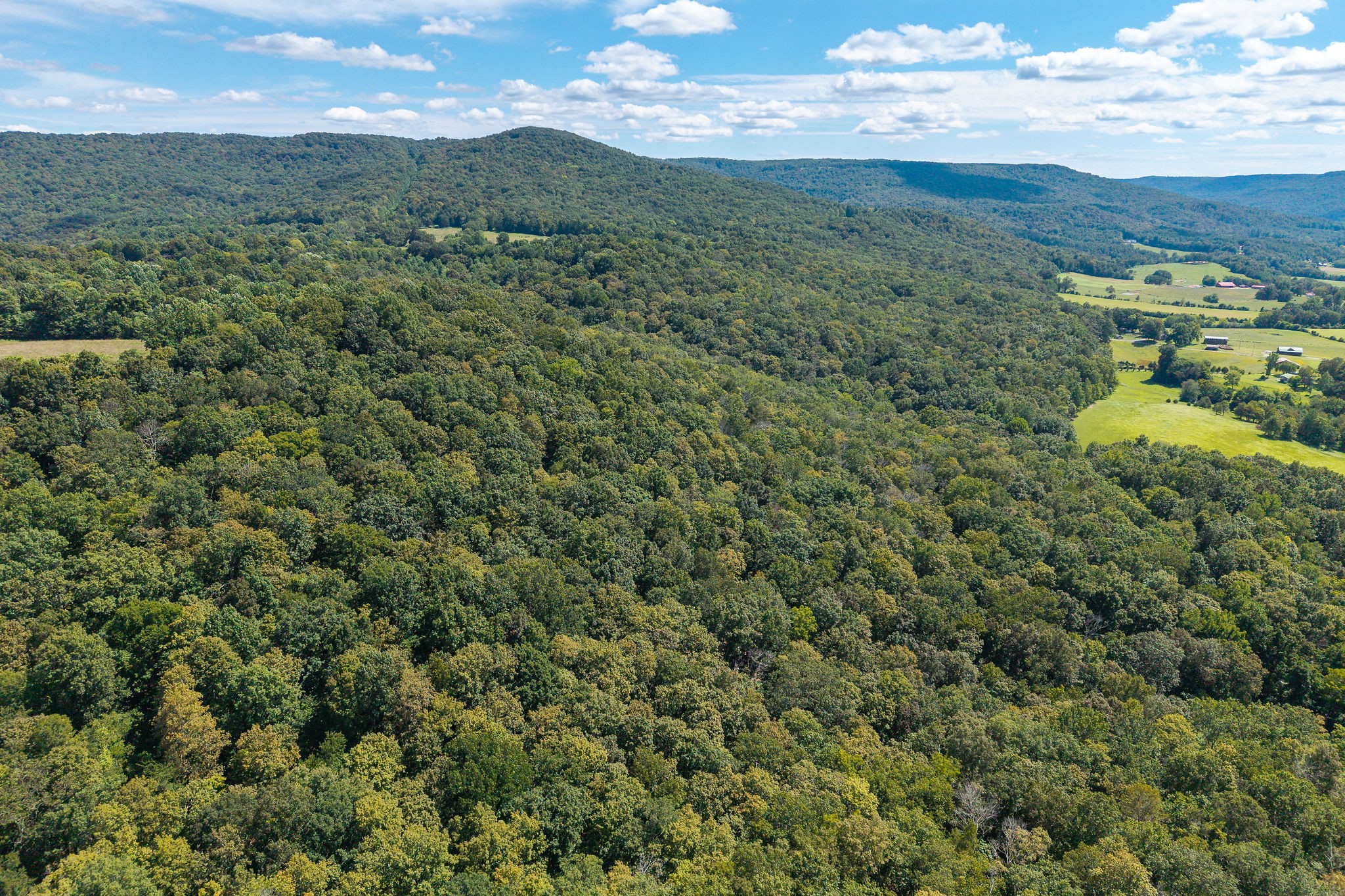 2047 Laurelburg Road Rock Island, TN 38581 - Photo 9 of 32 a view of a city with lush green forest