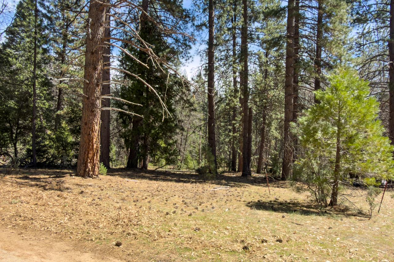 2701 Spelt Road Yosemite National Park, CA 95389 - Photo 65 of 68
