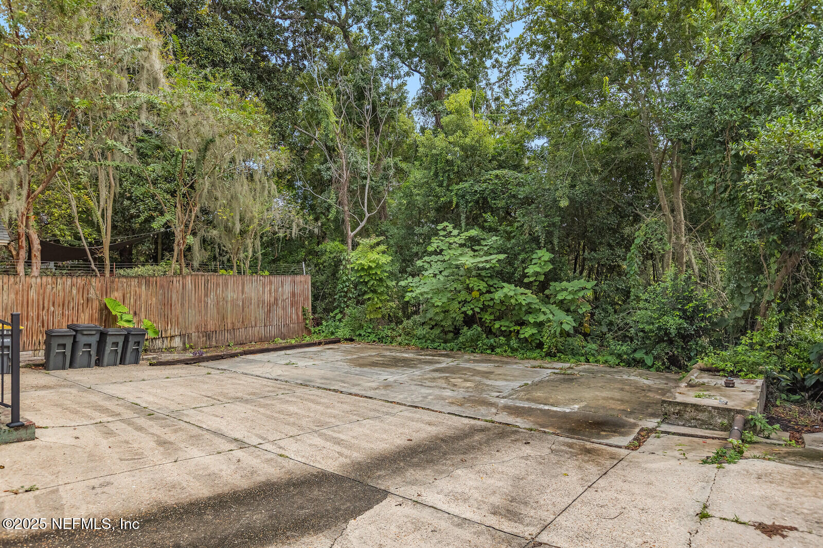 3668 Valencia Road Jacksonville, FL 32205 - Photo 23 of 23 a view of backyard with a patio