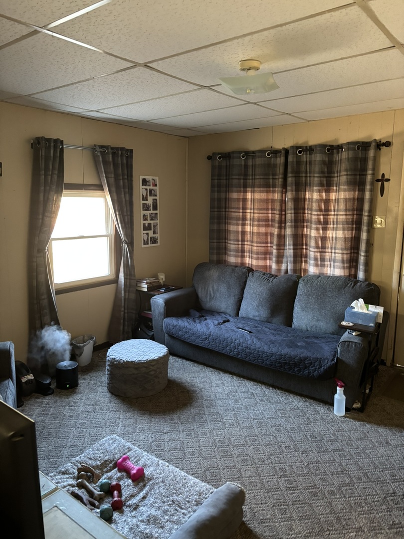403 Layman Street Benton, IL 62812 - Photo 4 of 4 a living room with furniture and a window