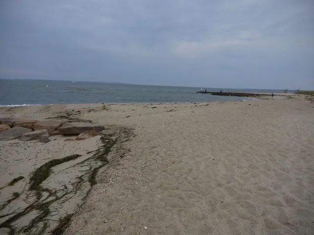a view of beach and ocean