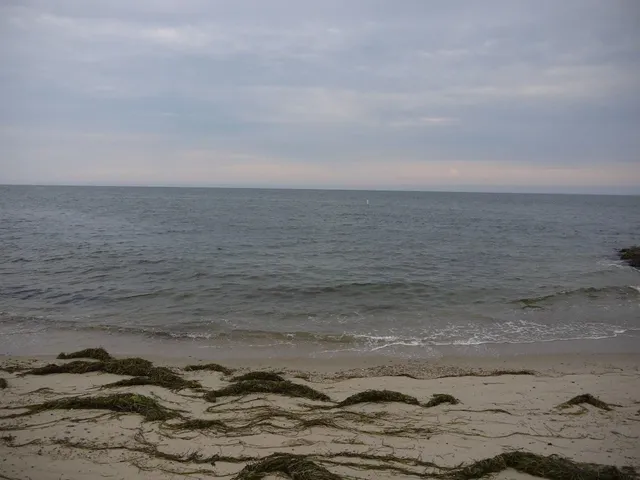 a view of an ocean beach