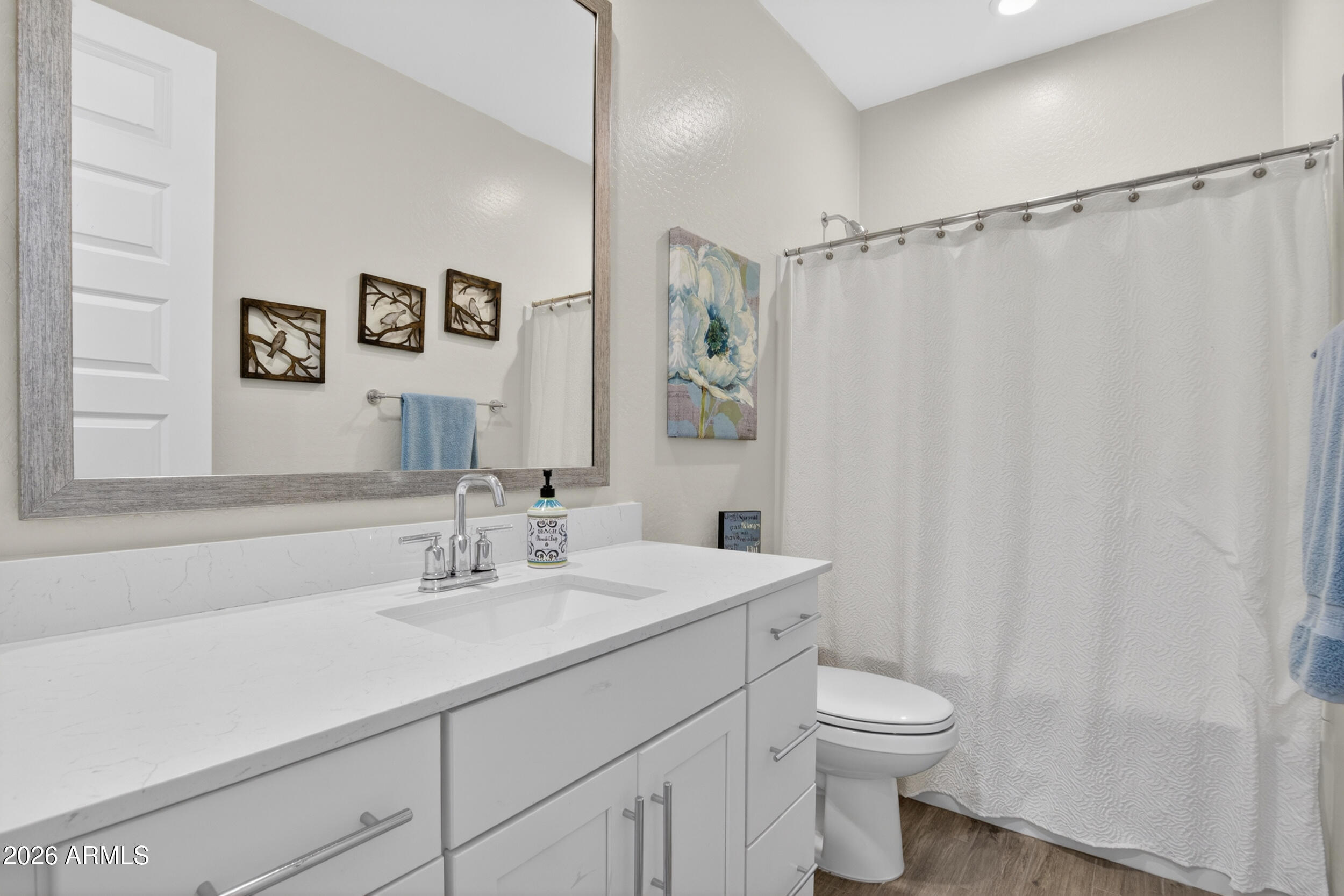 12330 East Soloman Road Gold Canyon, AZ 85118 - Photo 39 of 69 a bathroom with a sink a toilet and shower