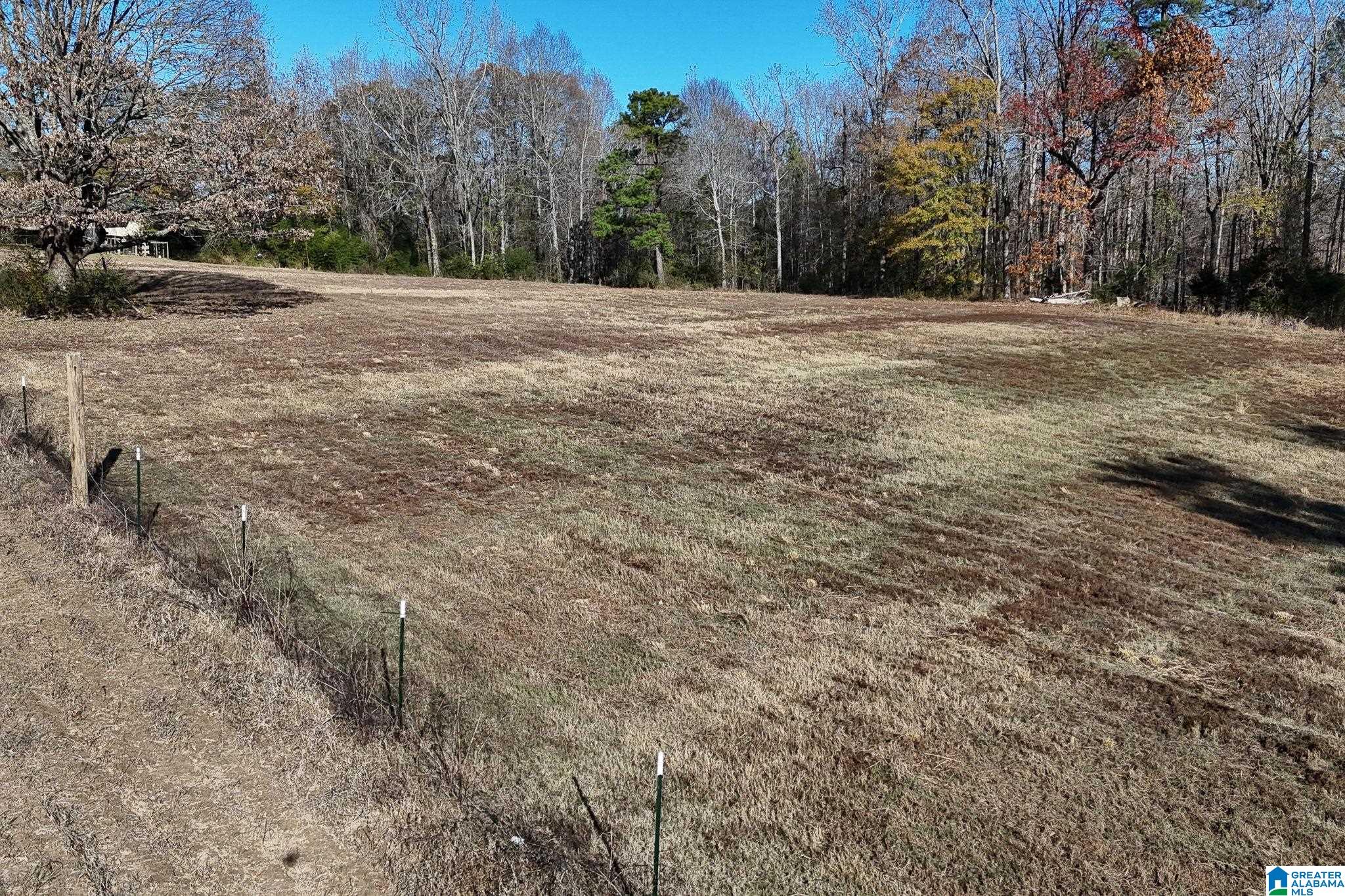 14365 Wire Road Cottondale, AL 35453 - Photo 33 of 46