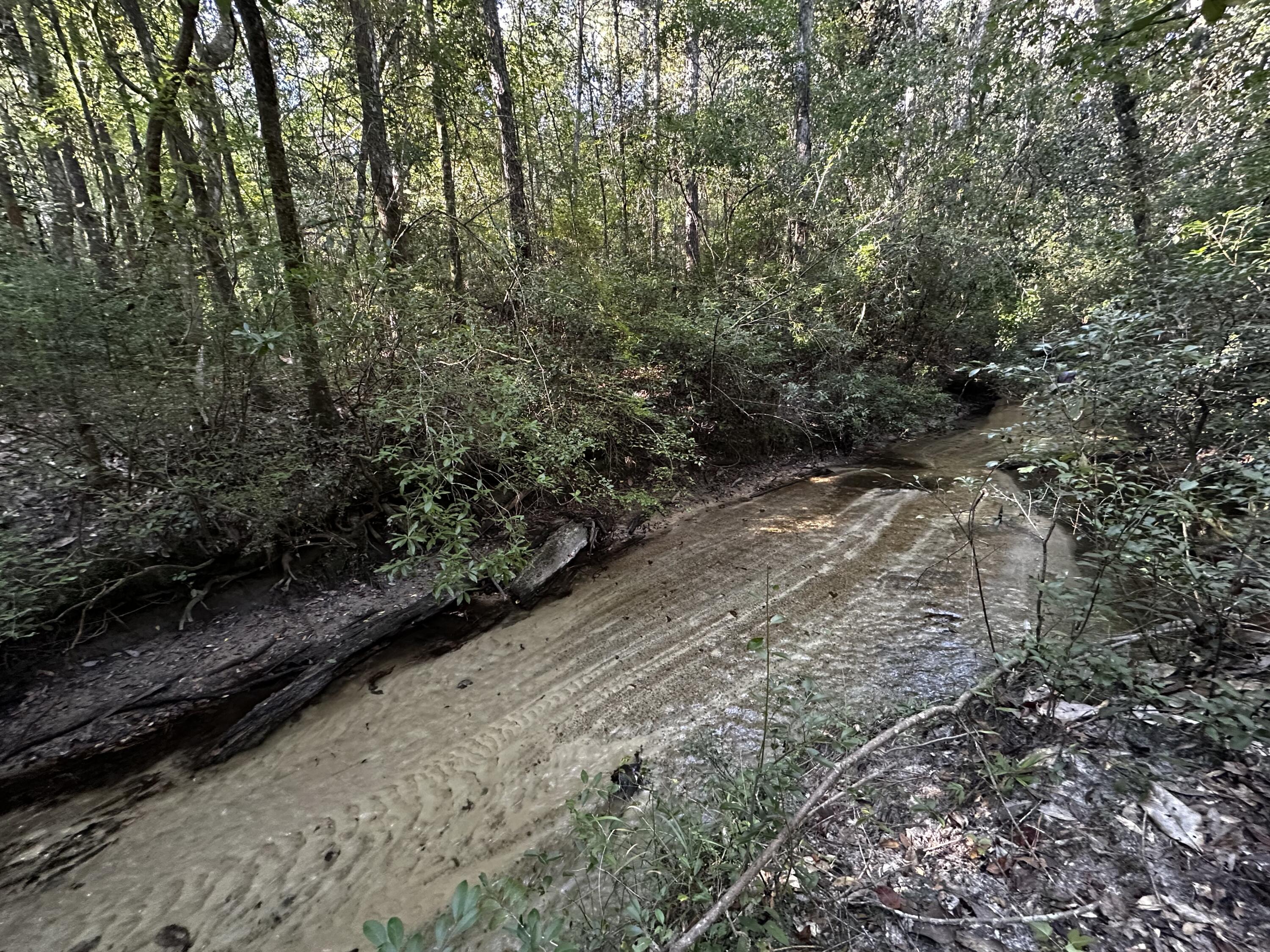 Tbd South Carroll Drive Baker, FL 32531 - Photo 2 of 5 a view of a yard with trees