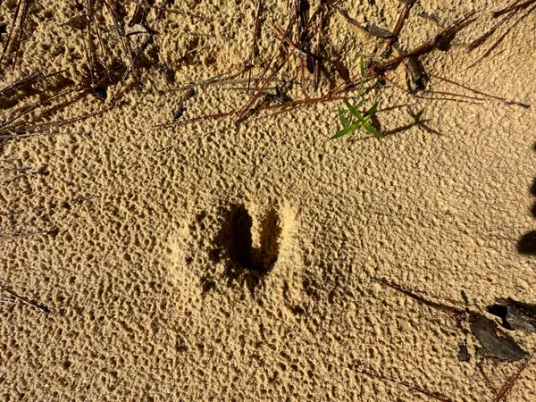 a close up of a shower