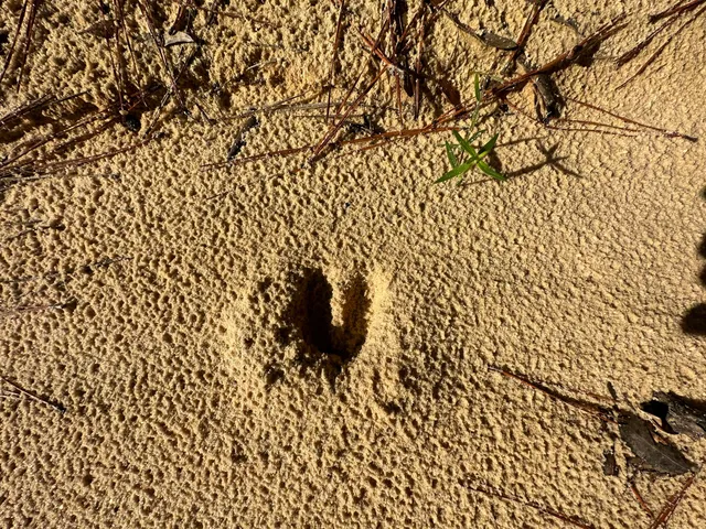 a close up of a shower