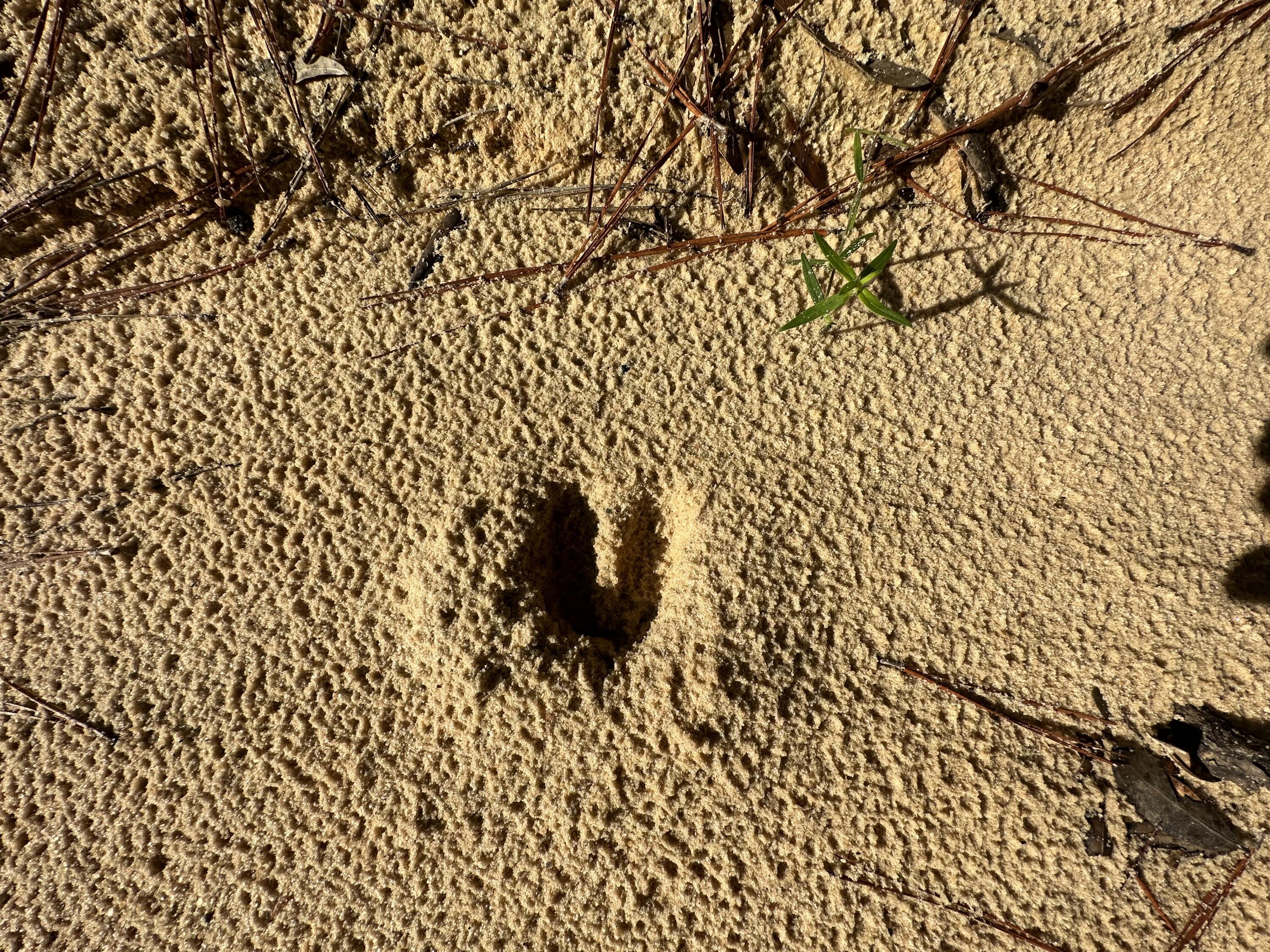 Tbd South Carroll Drive Baker, FL 32531 - Photo 5 of 5 a close up of a shower