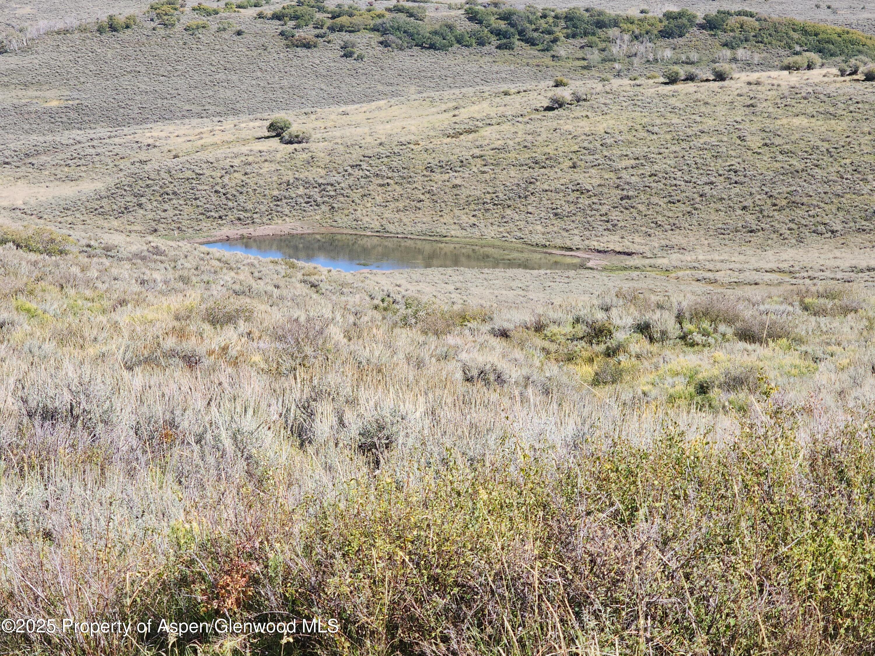 Tbd Tbd Divide Whitewater, CO 81527 - Photo 2 of 10 a view of beach and small yard