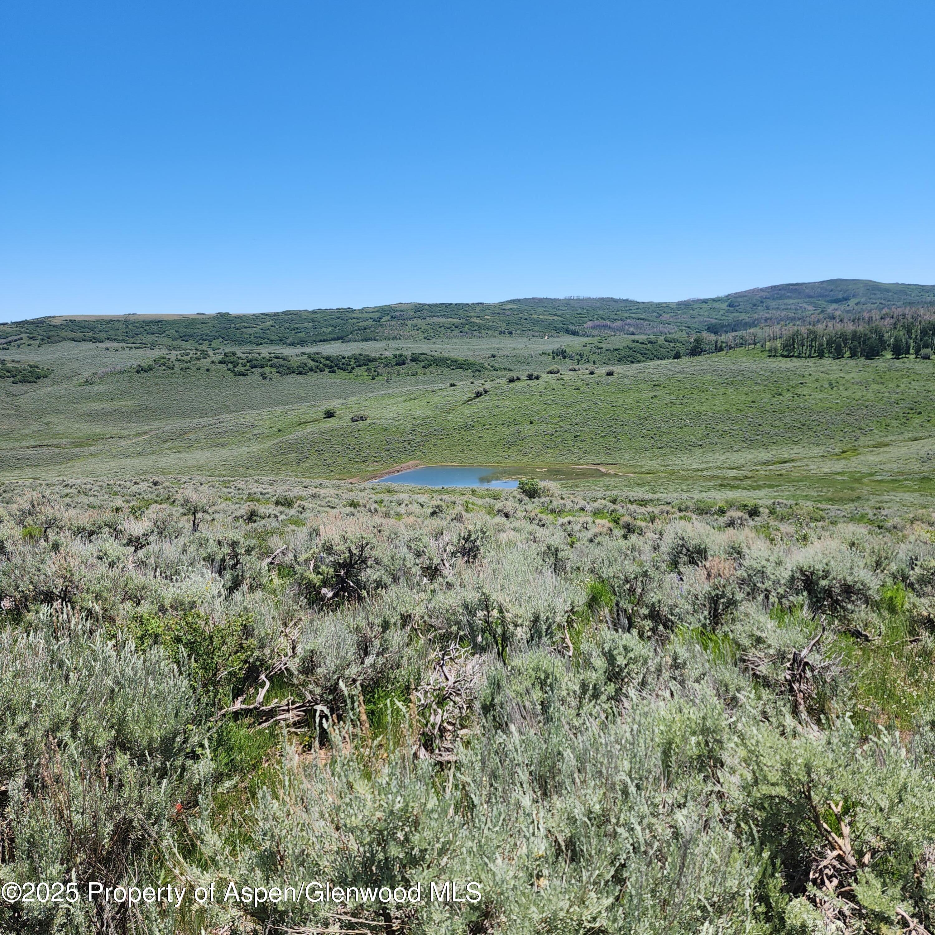 Tbd Tbd Divide Whitewater, CO 81527 - Photo 4 of 10 a view of a field with an ocean