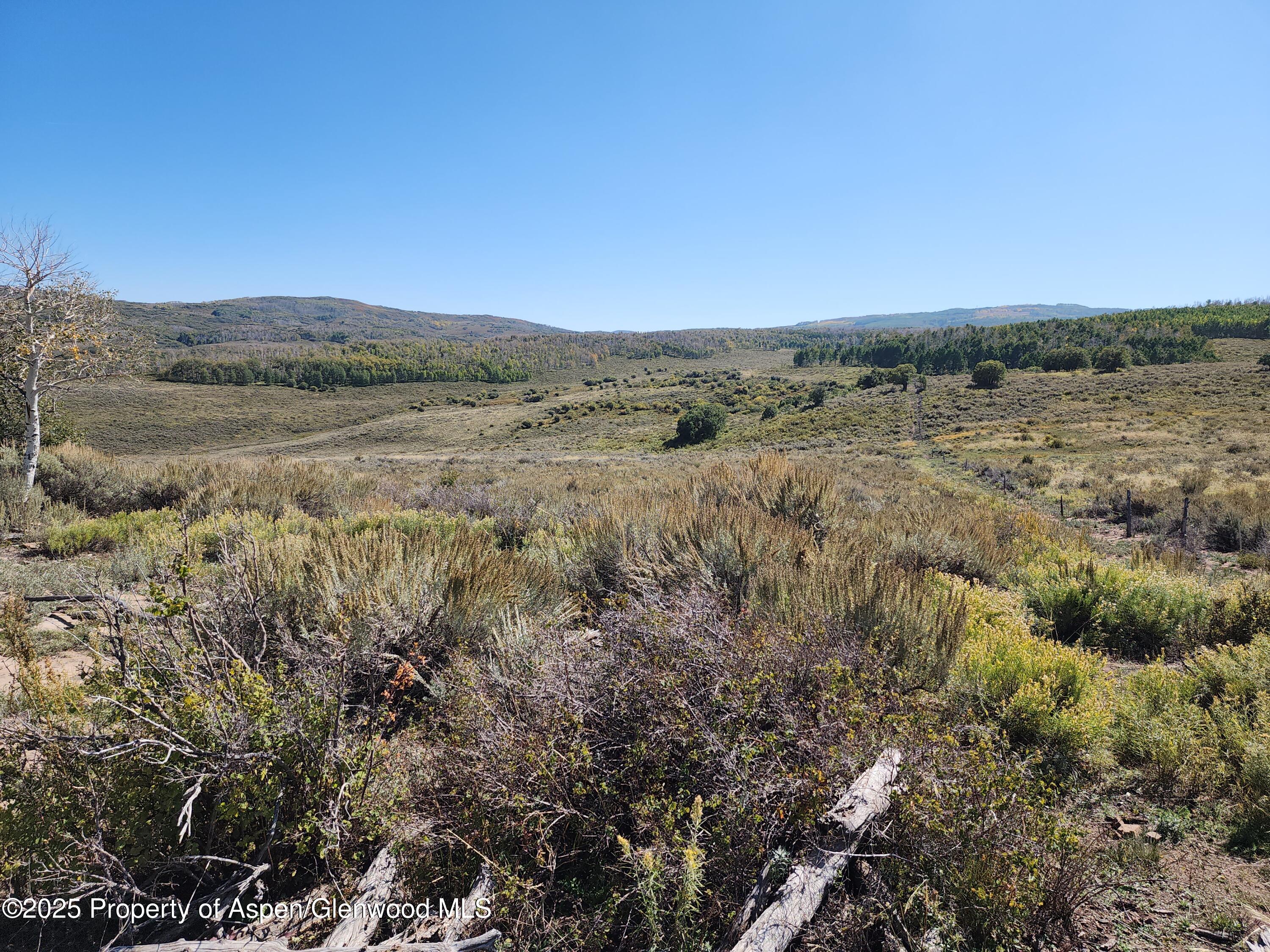 Tbd Tbd Divide Whitewater, CO 81527 - Photo 6 of 10 a view of a large body of water with lots of bushes