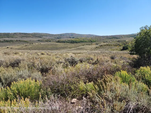 a view of a field with trees in the background