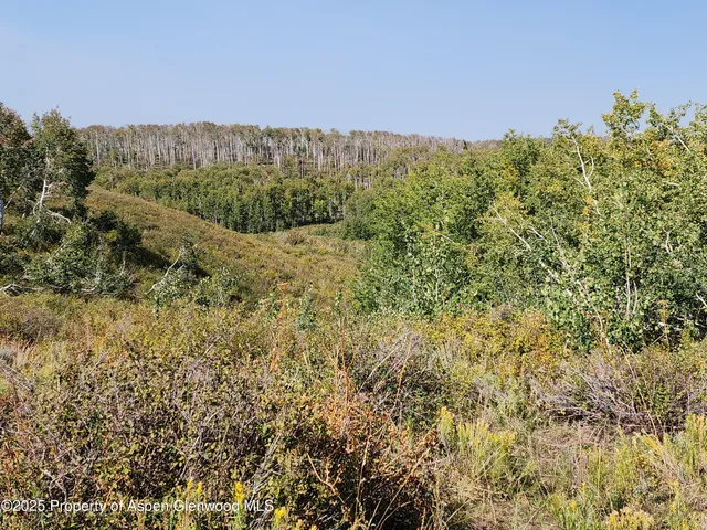 a view of a large yard with green space and fog