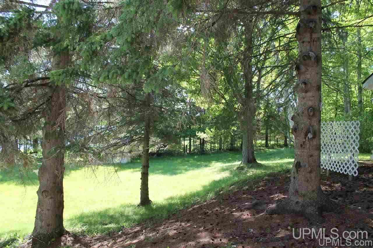 W18081 Wolfe Road, Unit LOTS 6&7 Germfask, MI 49836 - Photo 14 of 42 Gallery Image 14