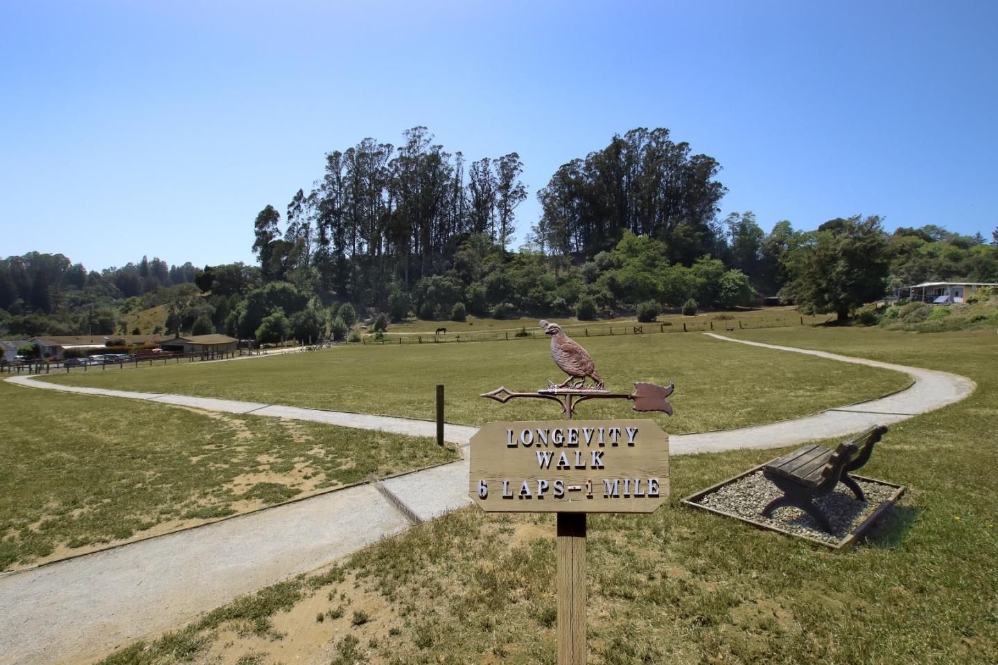 270 Hames Road, Unit 60 Corralitos, CA 95076 - Photo 27 of 32 a view of a lake with a yard