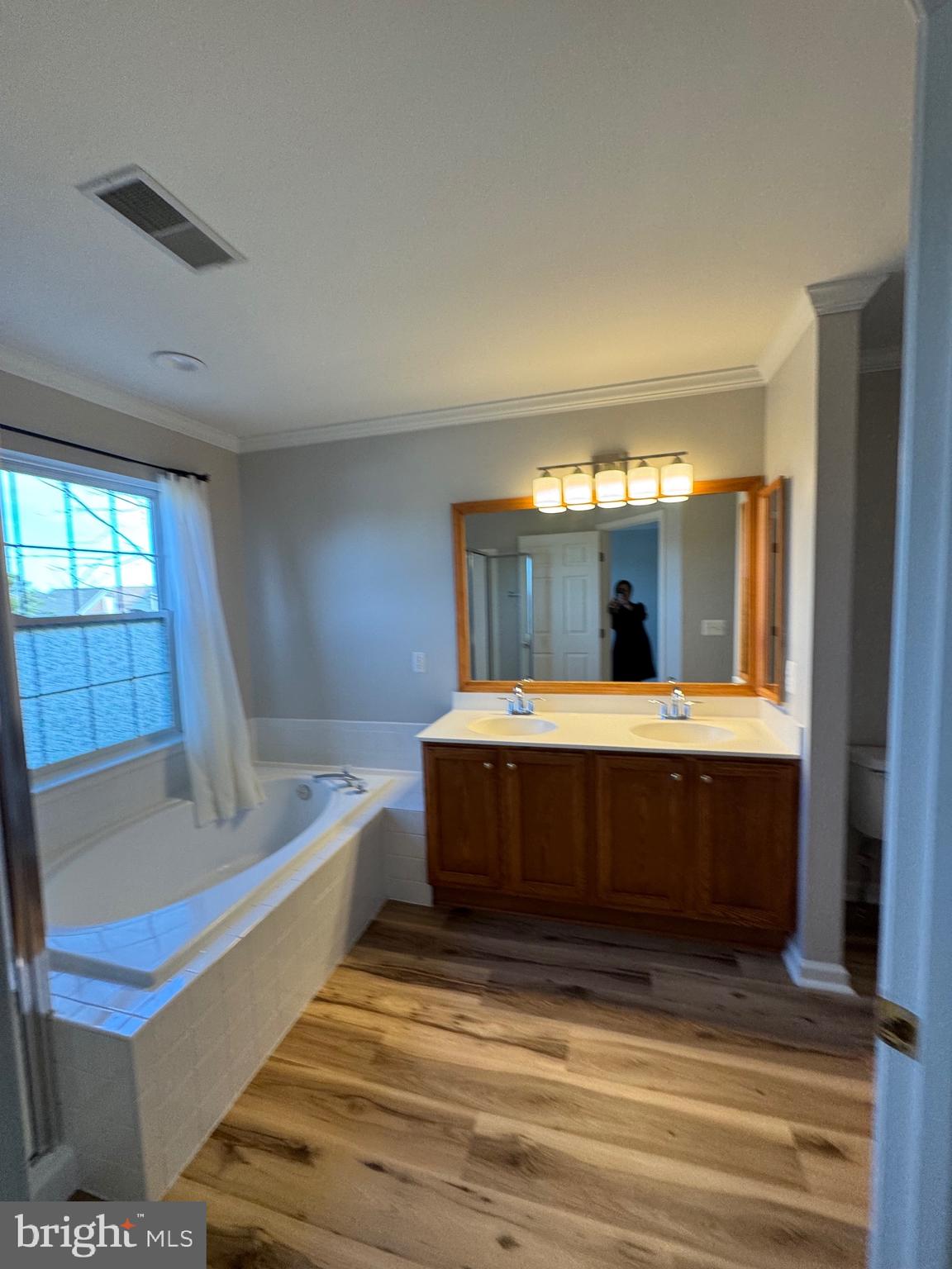 14342 Papilion Way Centreville, VA 20121 - Photo 29 of 46 a bathroom with a tub a sink and a mirror