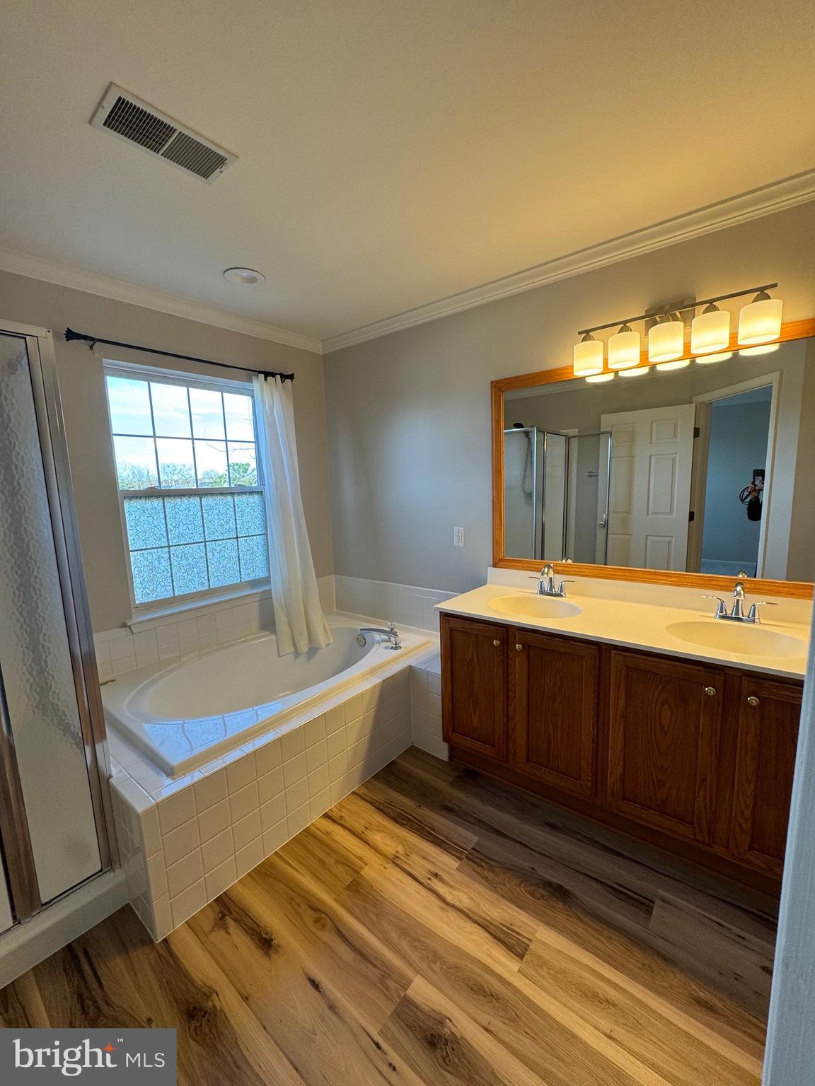14342 Papilion Way Centreville, VA 20121 - Photo 31 of 46 a bathroom with a tub a sink and a large mirror