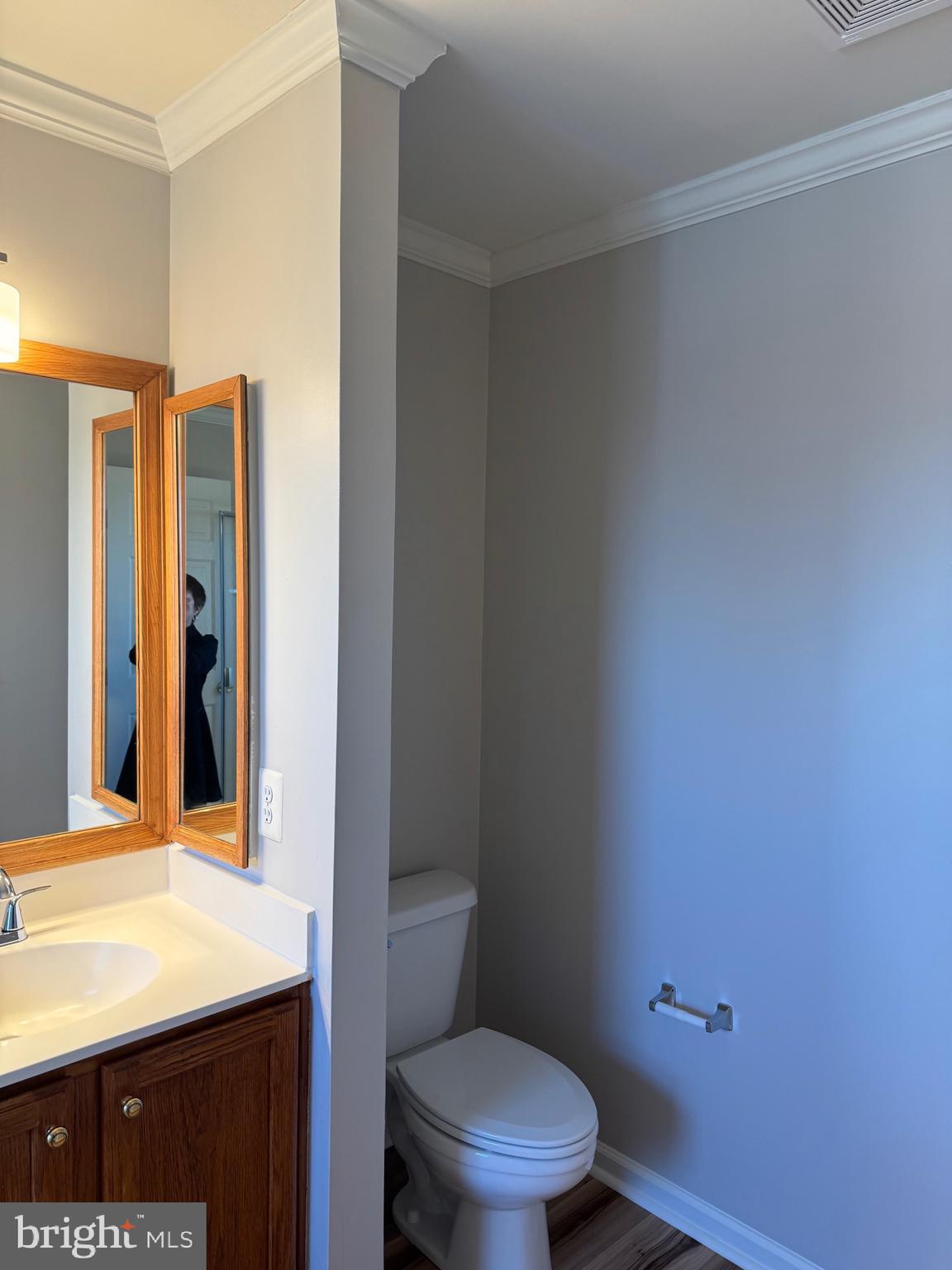 14342 Papilion Way Centreville, VA 20121 - Photo 32 of 46 a bathroom with a sink a toilet a mirror and vanity