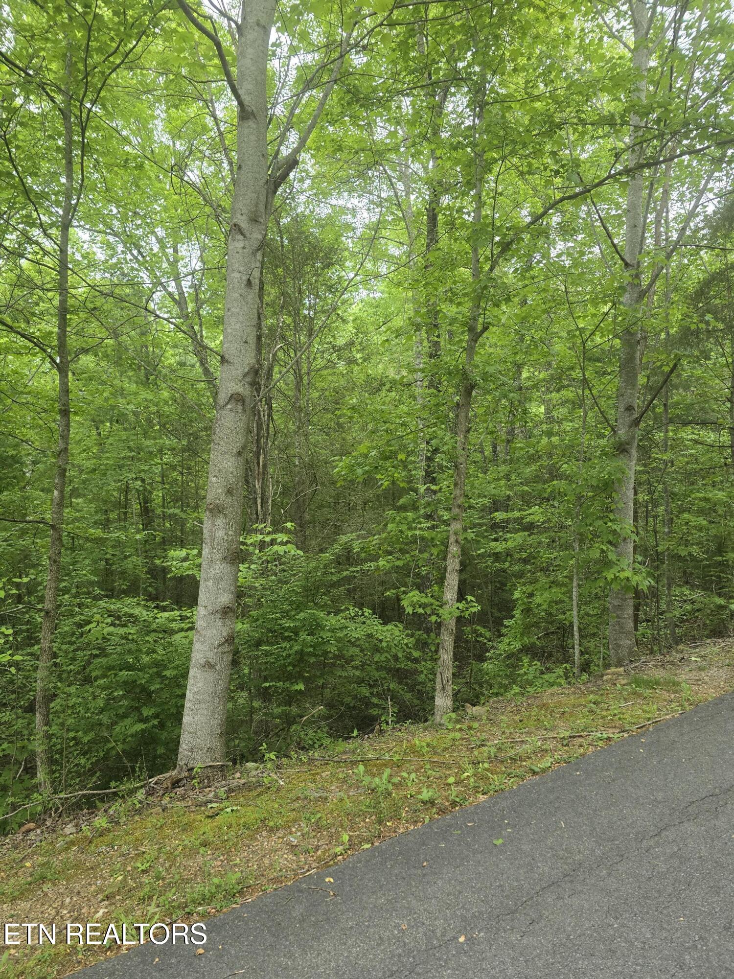 Lot 120 Lower Bluff Way Sevierville, TN 37862 - Photo 2 of 15 20250502_170620 - Copy