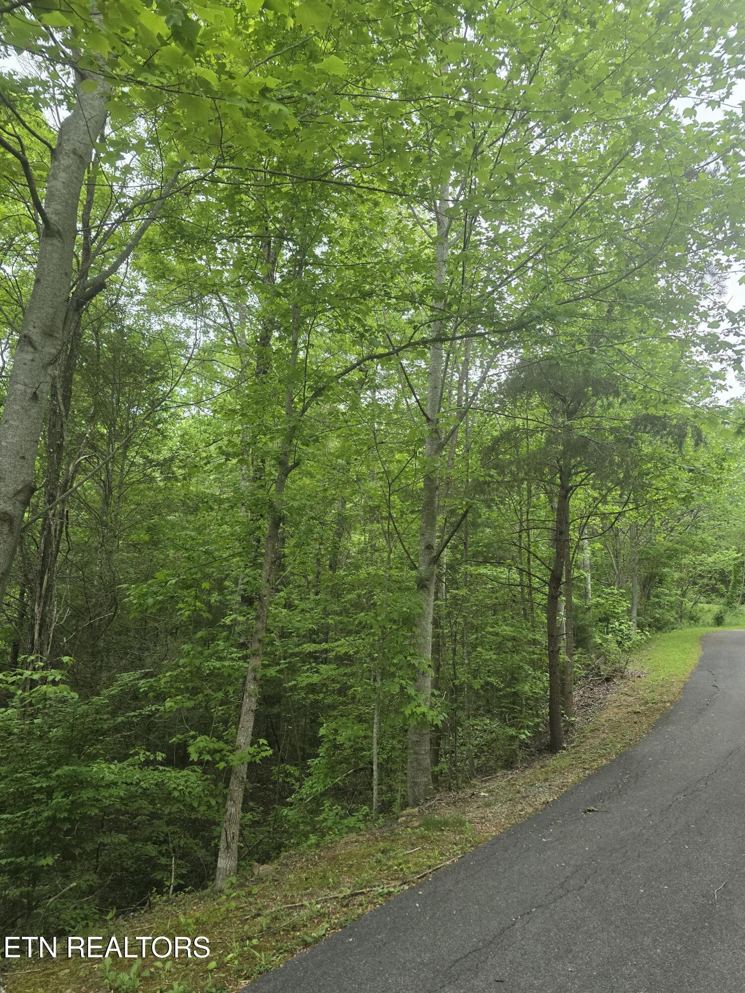 Lot 120 Lower Bluff Way Sevierville, TN 37862 - Photo 3 of 15 20250502_170624 - Copy