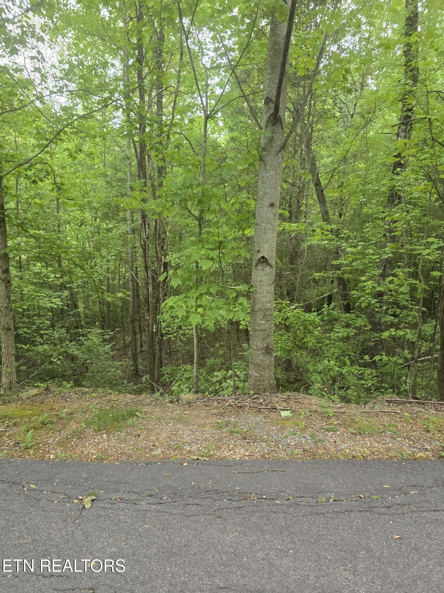 Lot 120 Lower Bluff Way Sevierville, TN 37862 - Photo 4 of 15 20250502_170634 - Copy