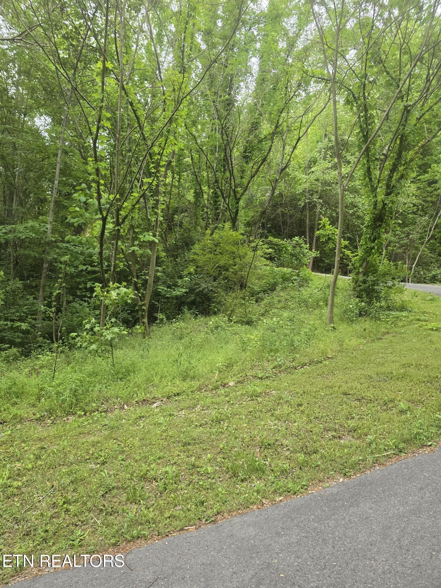 Lot 120 Lower Bluff Way Sevierville, TN 37862 - Photo 5 of 15 20250502_170702 - Copy