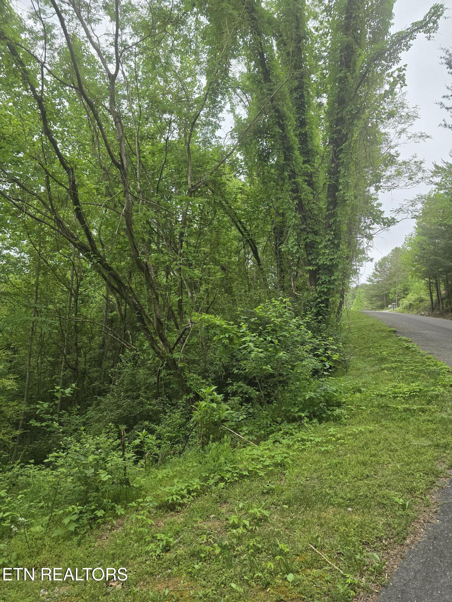 Lot 120 Lower Bluff Way Sevierville, TN 37862 - Photo 6 of 15 20250502_170723 - Copy
