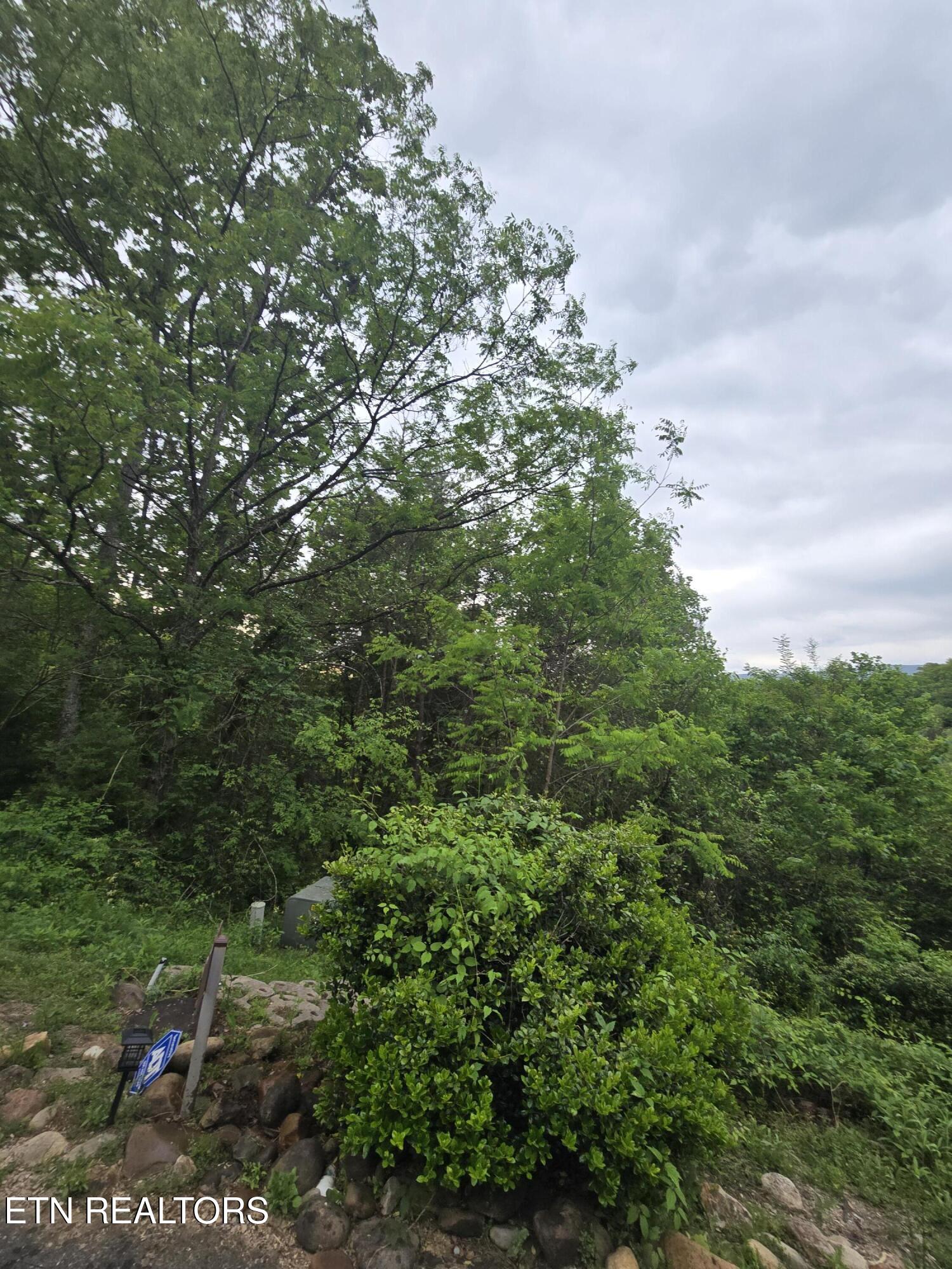 Lot 120 Lower Bluff Way Sevierville, TN 37862 - Photo 7 of 15 20250502_170806 - Copy