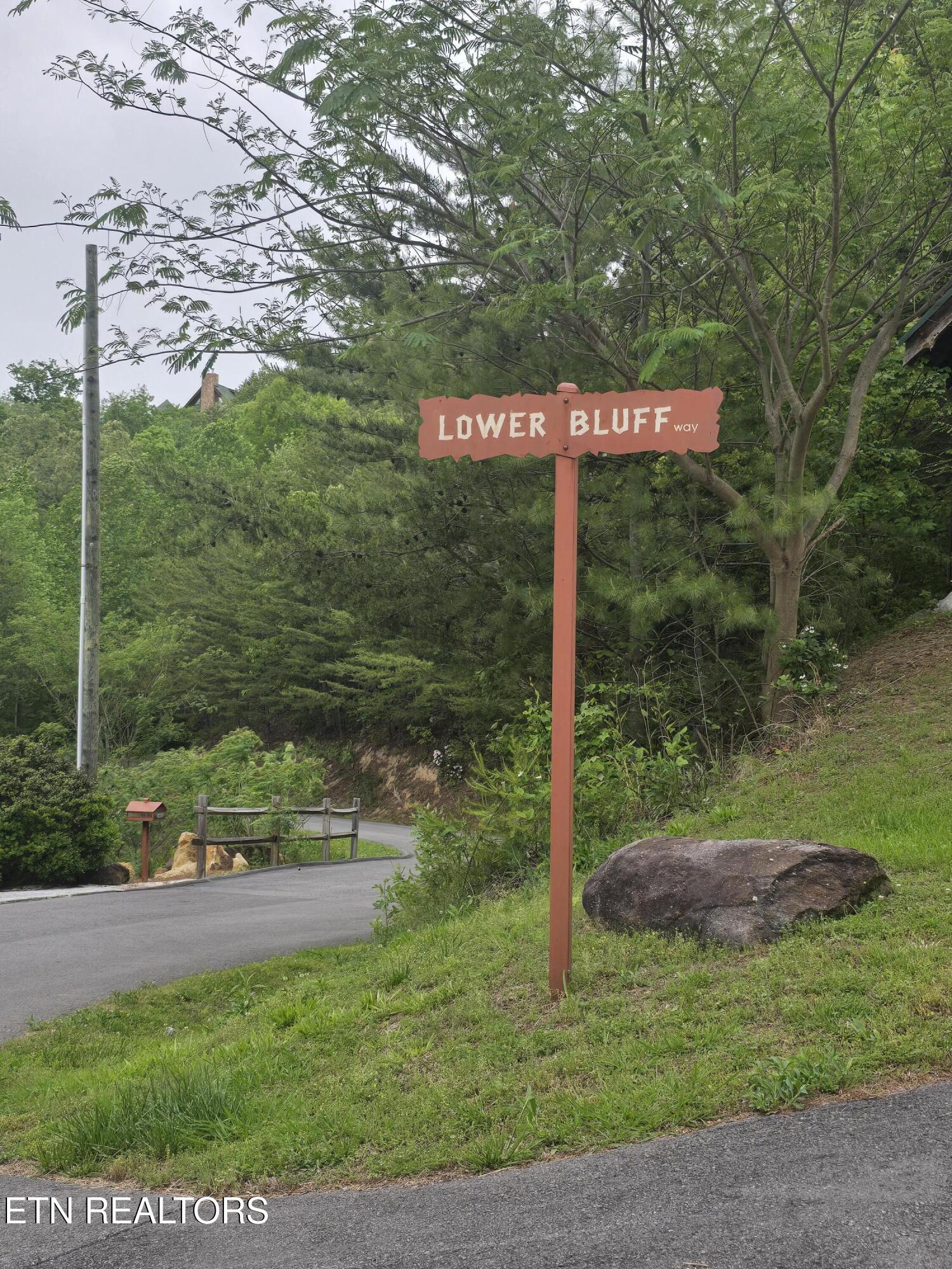 Lot 120 Lower Bluff Way Sevierville, TN 37862 - Photo 8 of 15 20250502_171801 - Copy