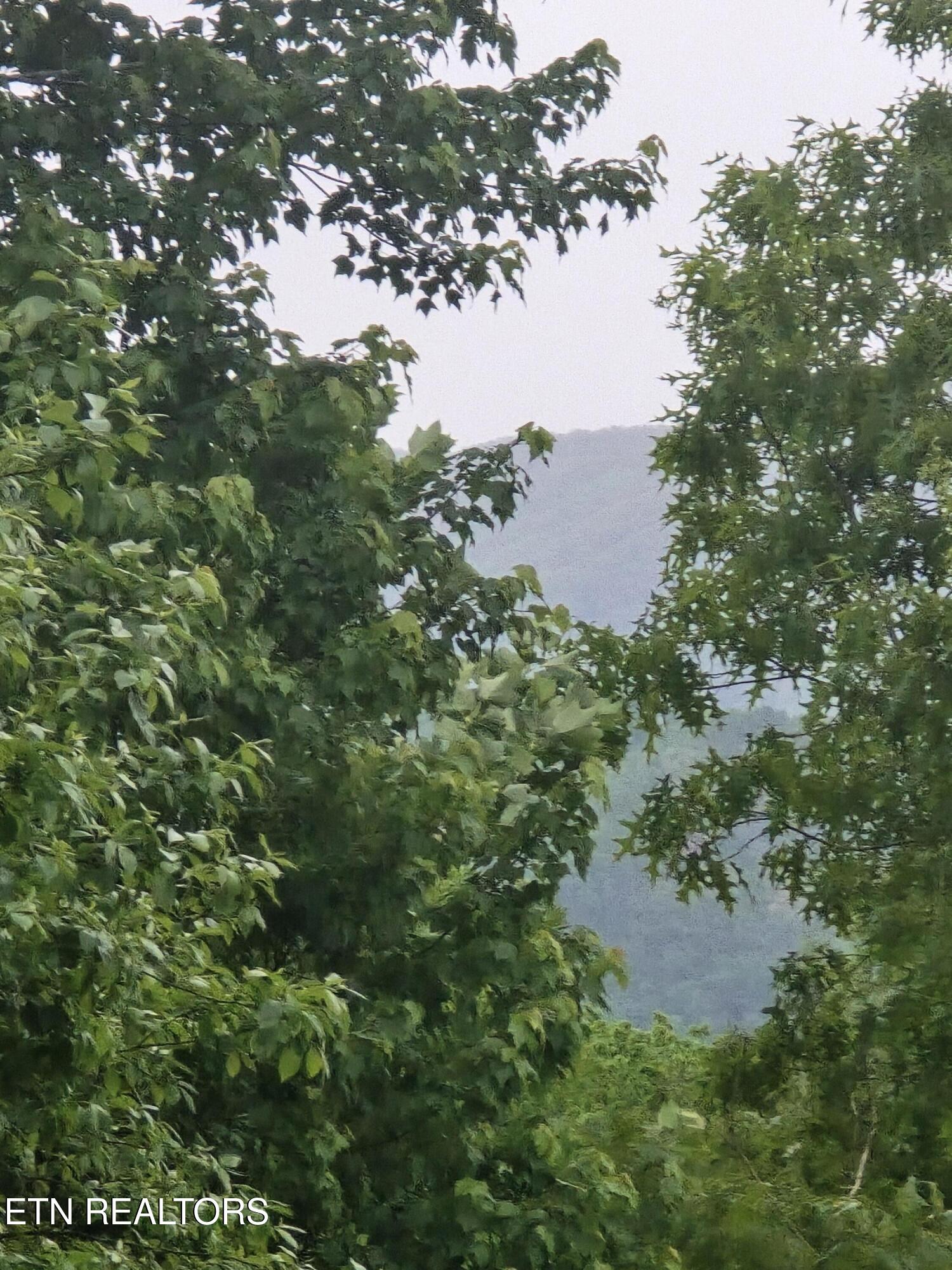 Lot 120 Lower Bluff Way Sevierville, TN 37862 - Photo 9 of 15 20250502_171846 - Copy